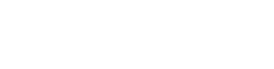 TDR White Logo